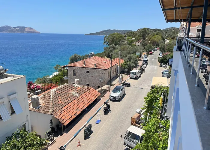 Kaptan Проживание в семье