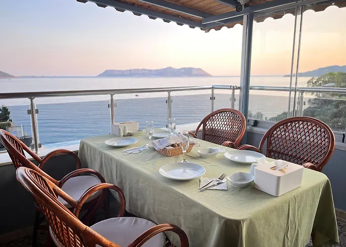 Kaptan Проживание в семье *