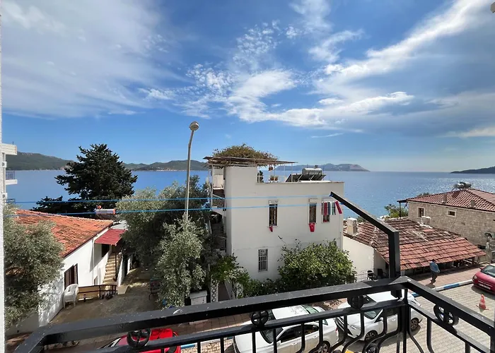 Kaptan Проживание в семье *