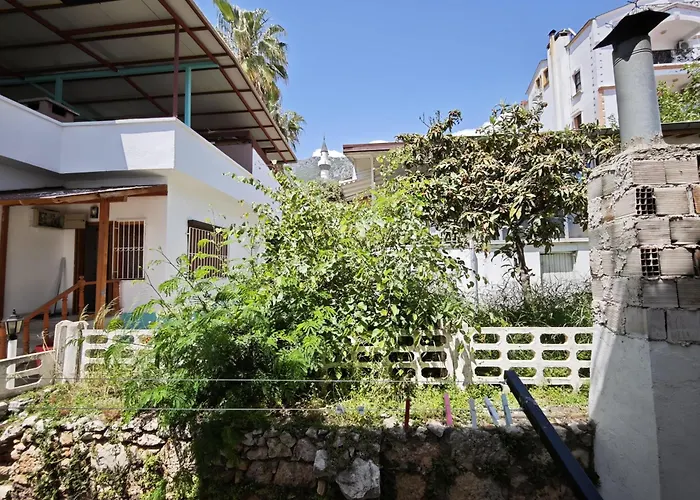 Проживание в семье Kaptan